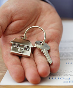 الظفيرى للمحاماه